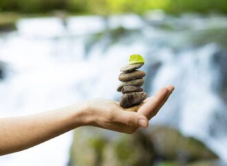 The Ecology of Peace: Lessons from Nature on Restoring Balance and Harmony