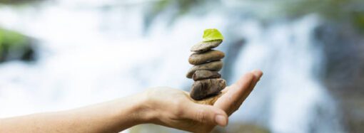 The Ecology of Peace: Lessons from Nature on Restoring Balance and Harmony